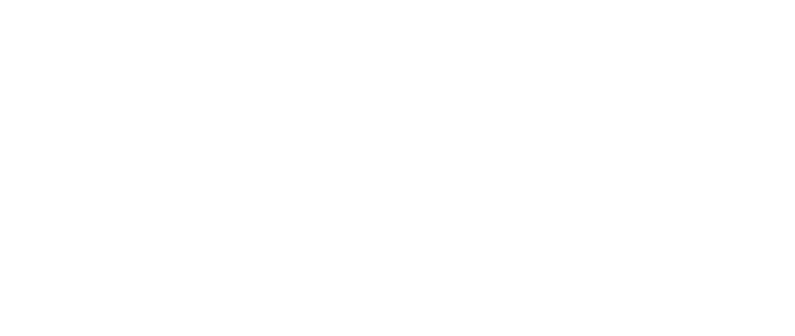 ALLOWCN mac专业版